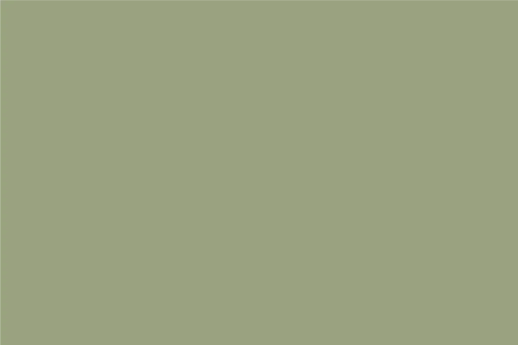 Nurb color 3
